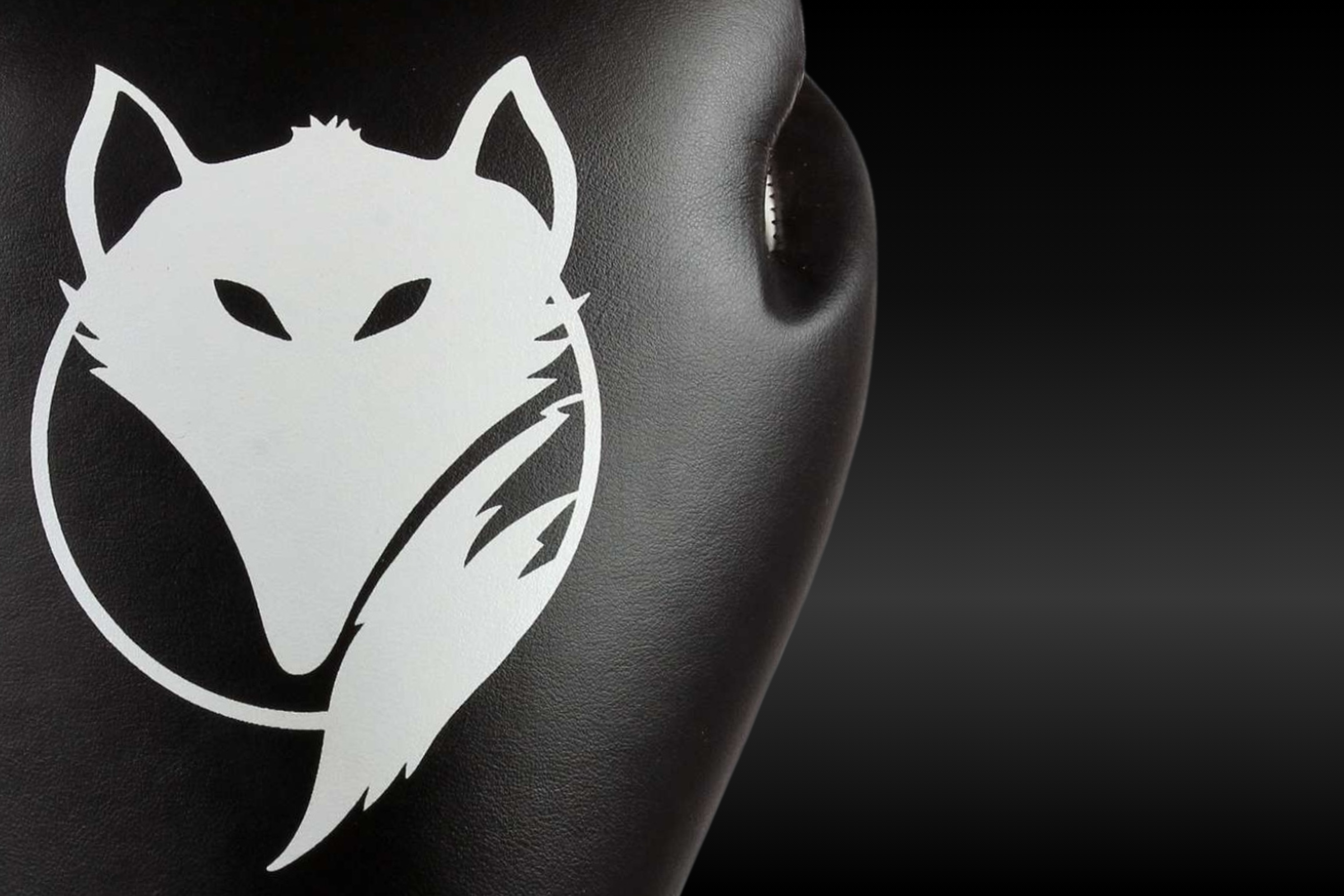Close-up detail of the Tyke-ies Fox logo on a professional boxing glove made from durable DX PU leather.