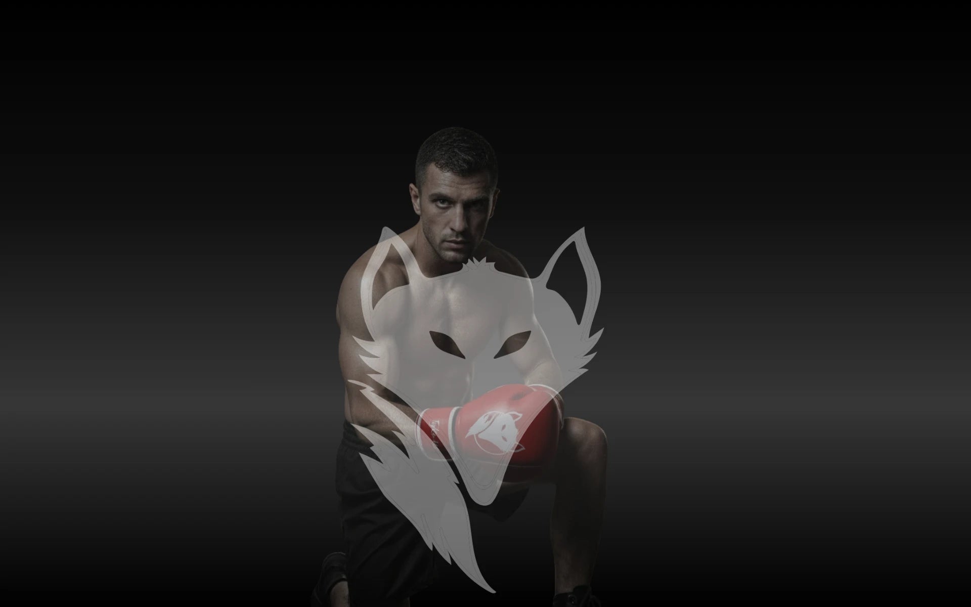 Close-up of a focused boxer with an intense stare wearing Tyke-ies boxing gloves, featuring the signature fox logo and the brand motto Outsmart, Outstrike, Outlast.