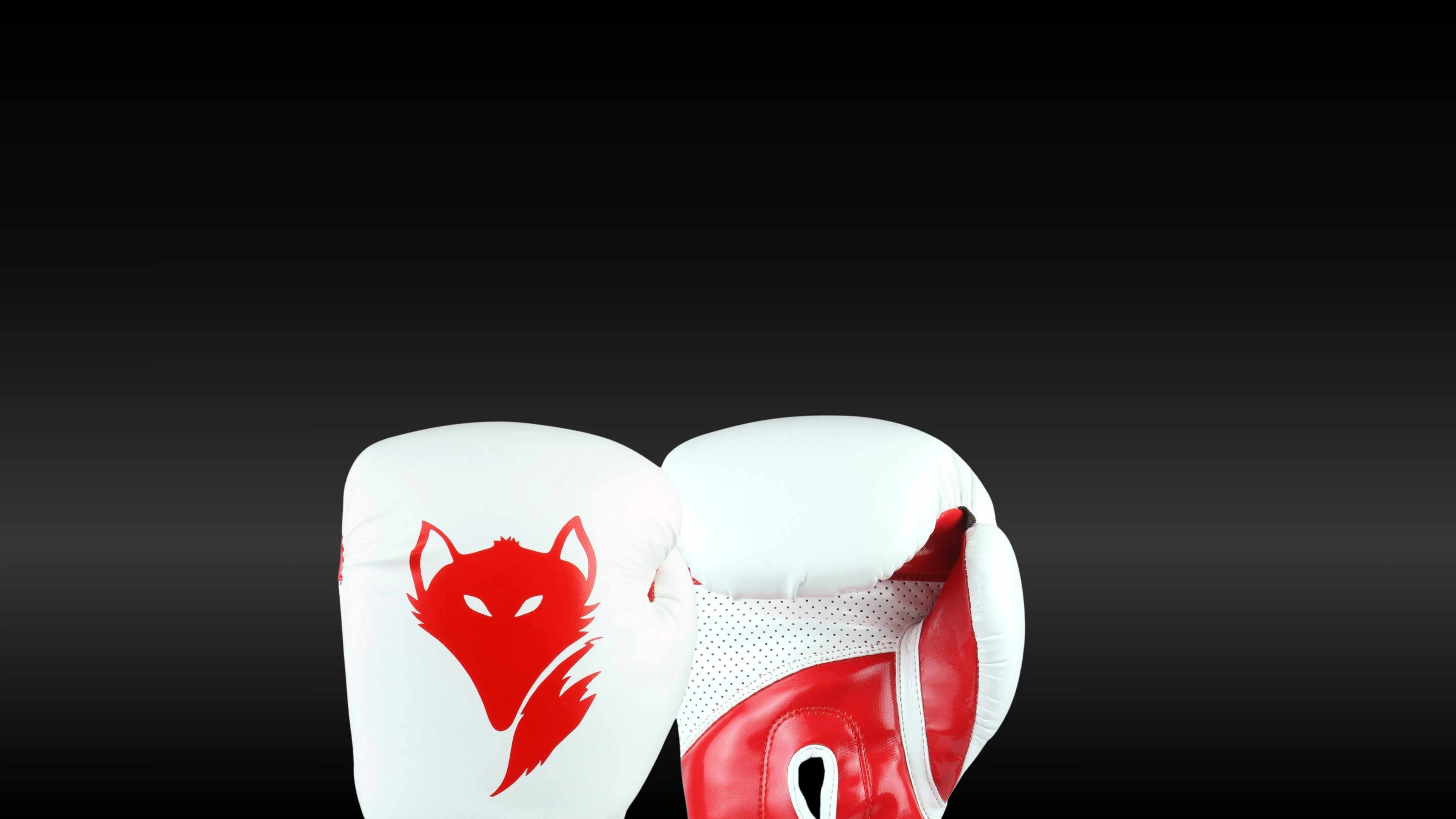 Tyke-ies Sleek boxing gloves for heavy bag and high-volume training
